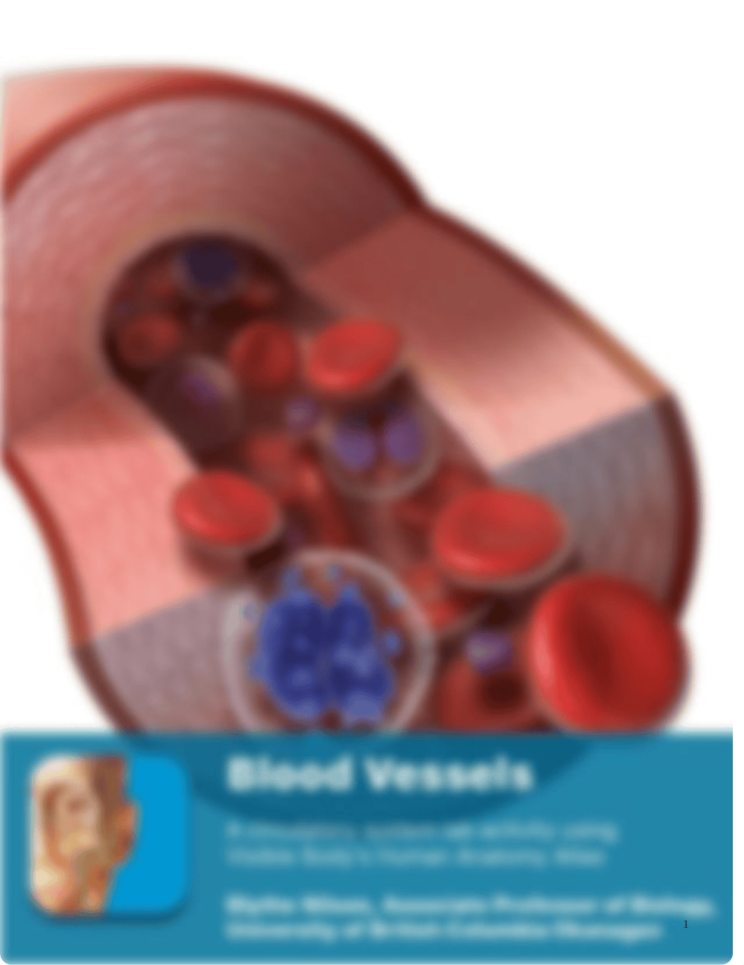 lab manual_blood_and_blood_vessels_atlas.pdf_d4sk7dtwih4_page1