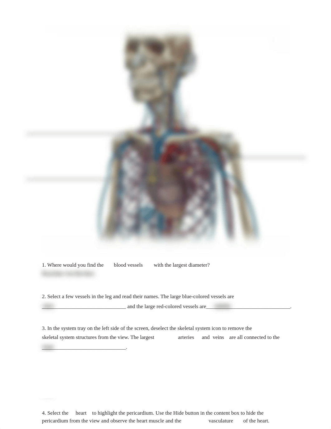 lab manual_blood_and_blood_vessels_atlas.pdf_d4sk7dtwih4_page3