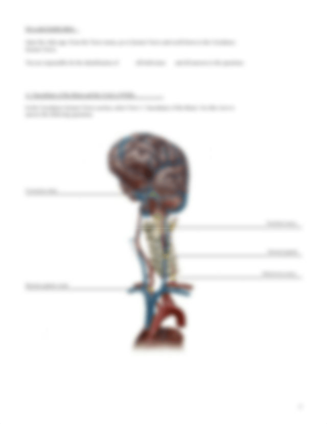 lab manual_blood_and_blood_vessels_atlas.pdf_d4sk7dtwih4_page5