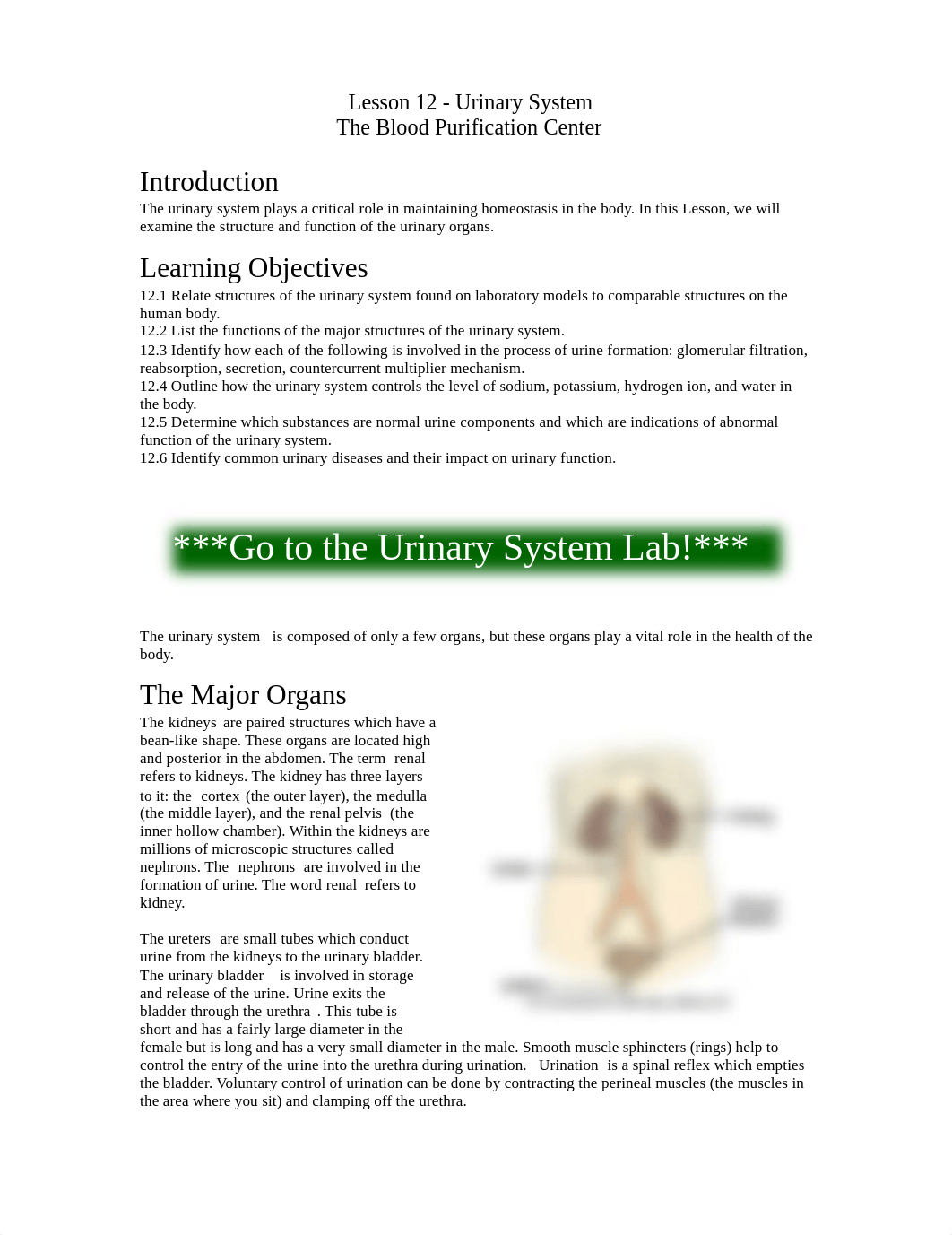 Lesson 12 Urinary System.pdf_d4spk24czlx_page1