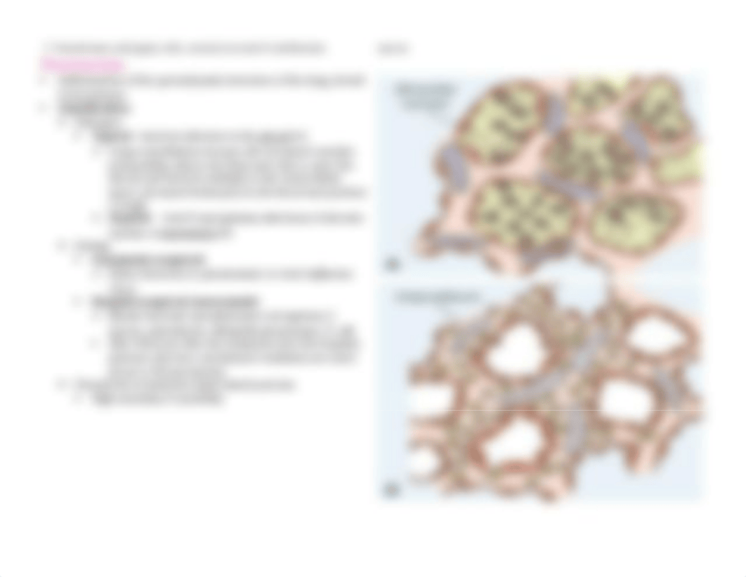 Respiratory System.docx_d4sr9fh5158_page3