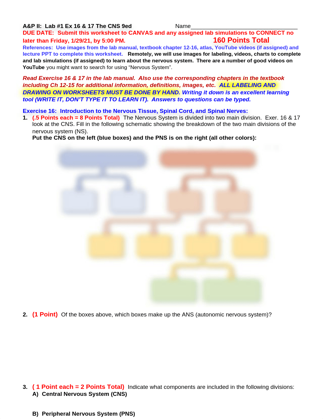 A&P II Lab1 Exer 16 & 17 worksheet 9th REMOTE (1).doc_d4stekcveae_page1