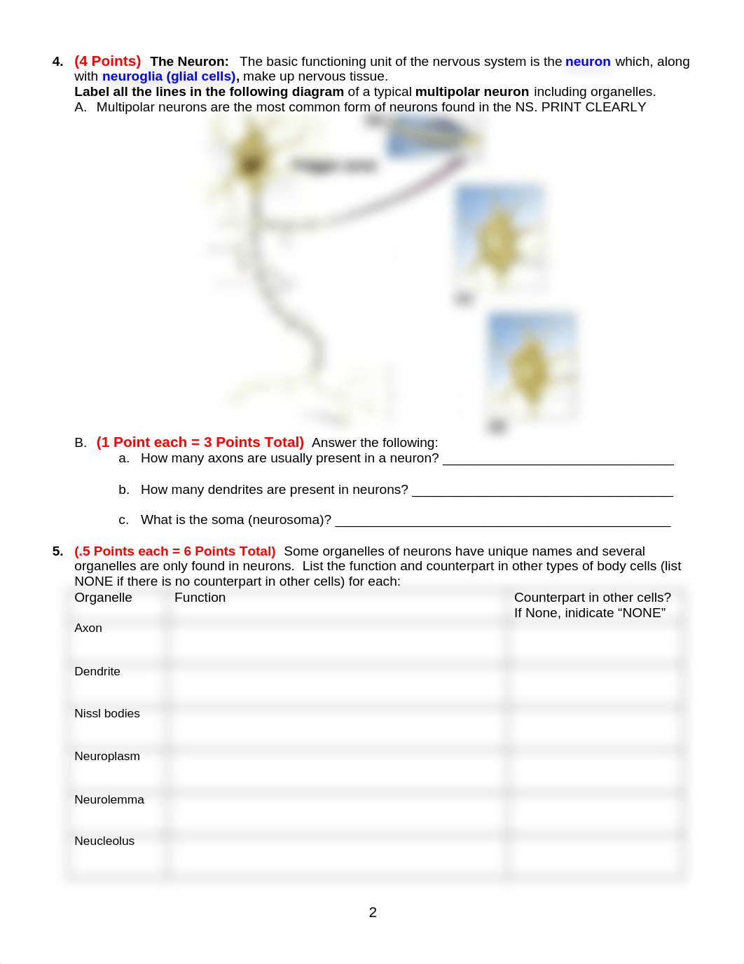 A&P II Lab1 Exer 16 & 17 worksheet 9th REMOTE (1).doc_d4stekcveae_page2