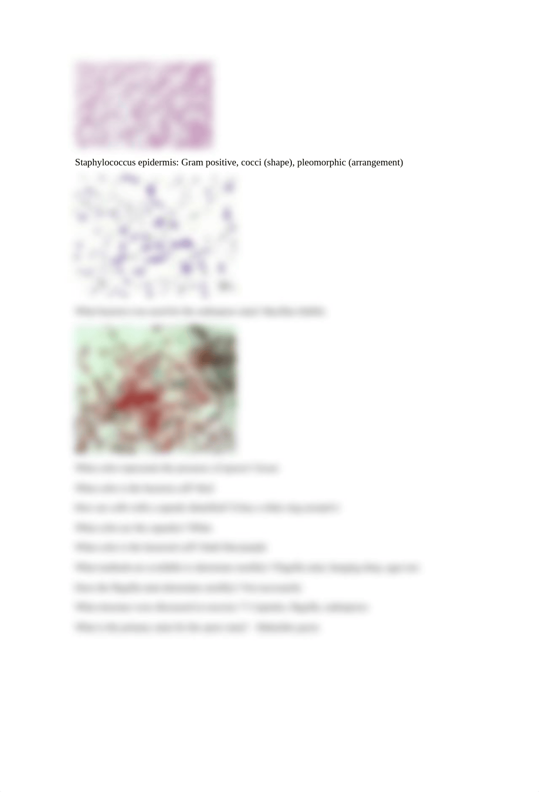 Micro lab Exam 2.docx_d4studs08ar_page2