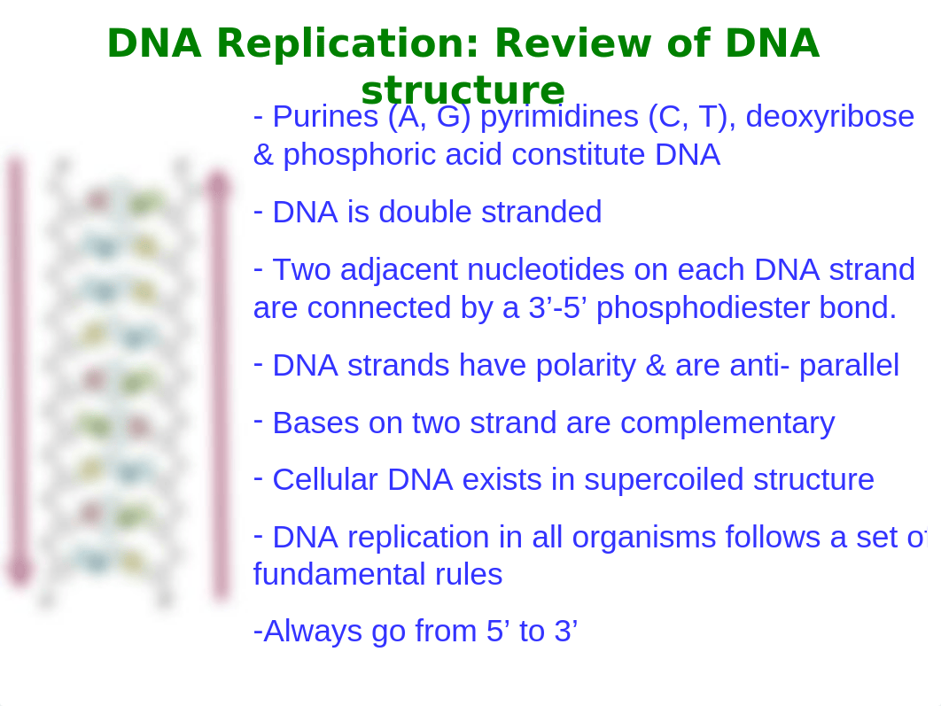 Chapter_25 DNA metabolism_d4sujikde37_page5