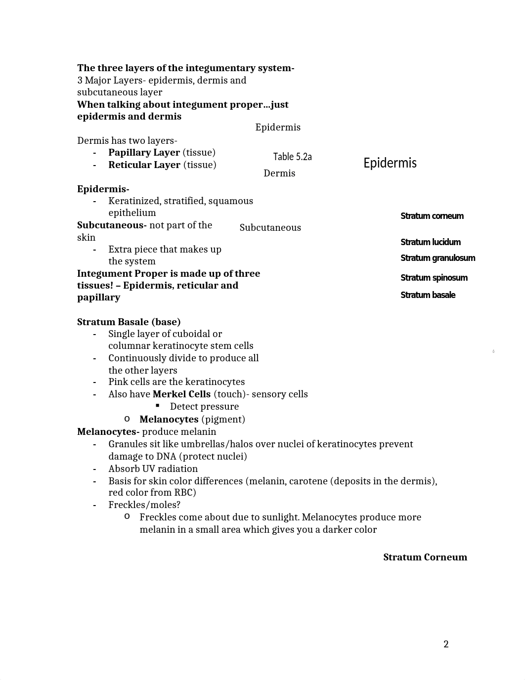 Anatomy Exam 2 Study Guide_d4svjwjhlt1_page2