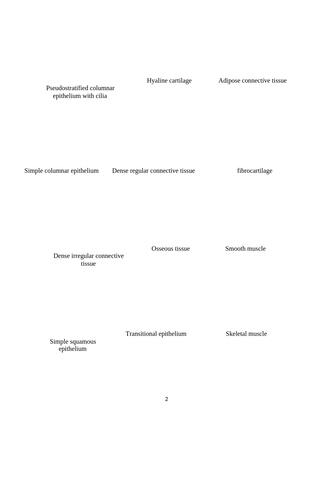 Lab 5 Tissues & Integumentary System(1).docx_d4syc8nudg6_page2