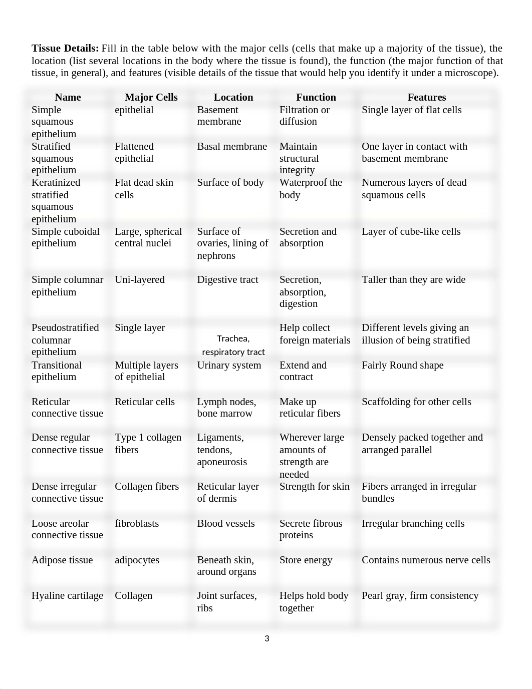 Lab 5 Tissues & Integumentary System(1).docx_d4syc8nudg6_page3