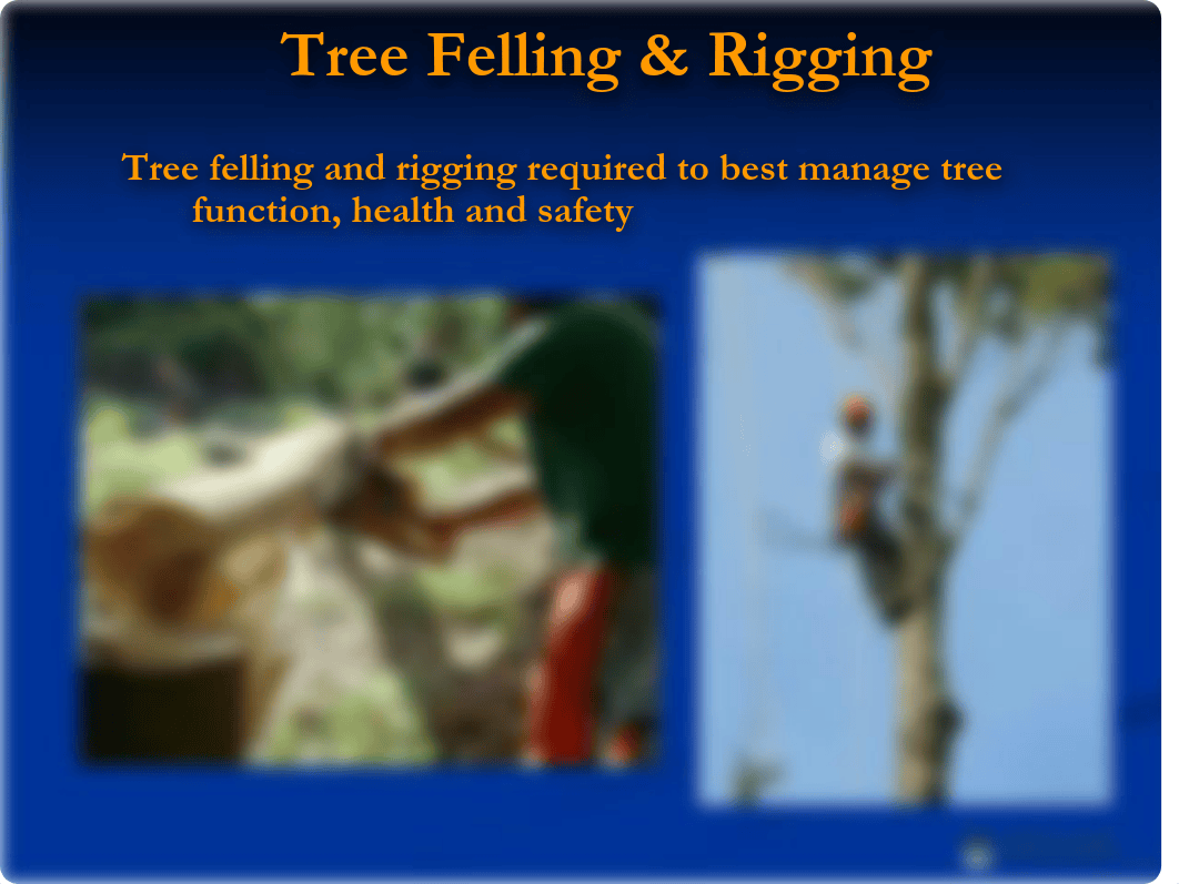 Tree-Felling (1).pdf_d4t56ov5vlq_page2