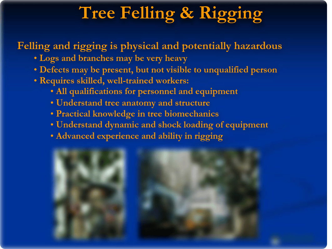 Tree-Felling (1).pdf_d4t56ov5vlq_page3