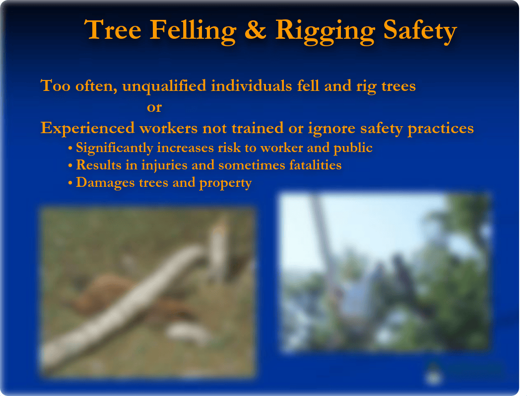 Tree-Felling (1).pdf_d4t56ov5vlq_page4