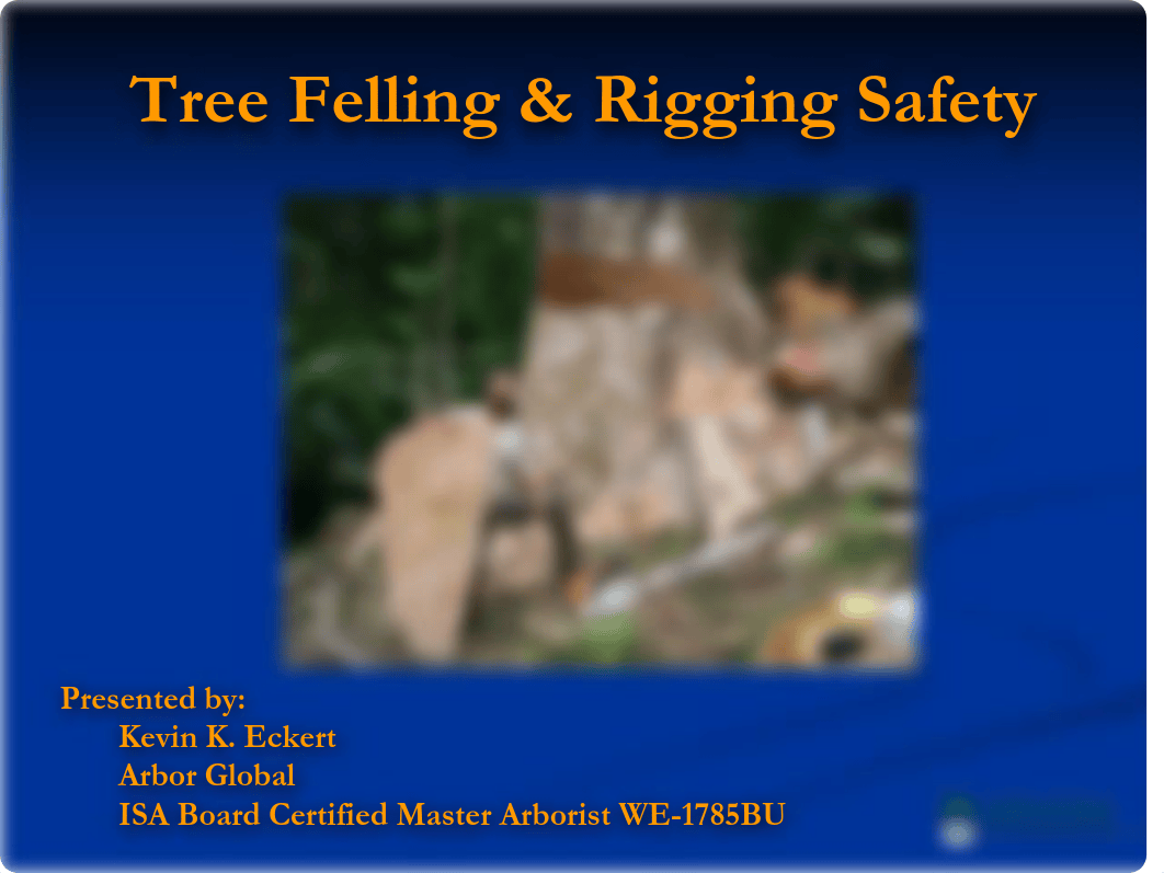 Tree-Felling (1).pdf_d4t56ov5vlq_page1