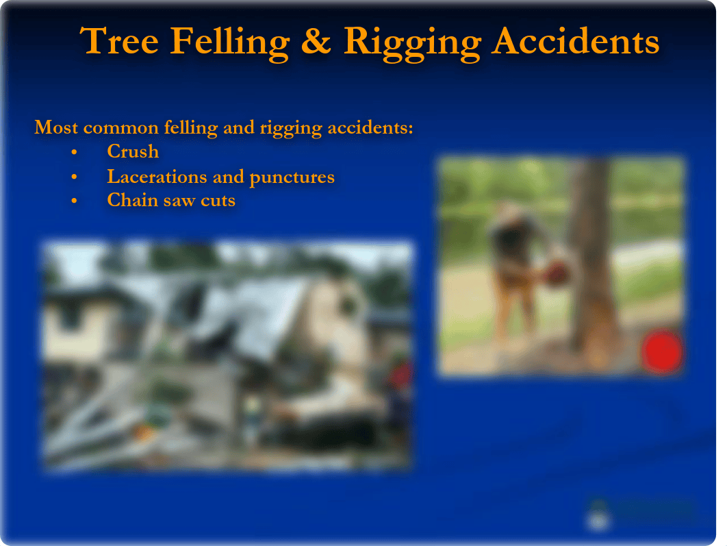 Tree-Felling (1).pdf_d4t56ov5vlq_page5