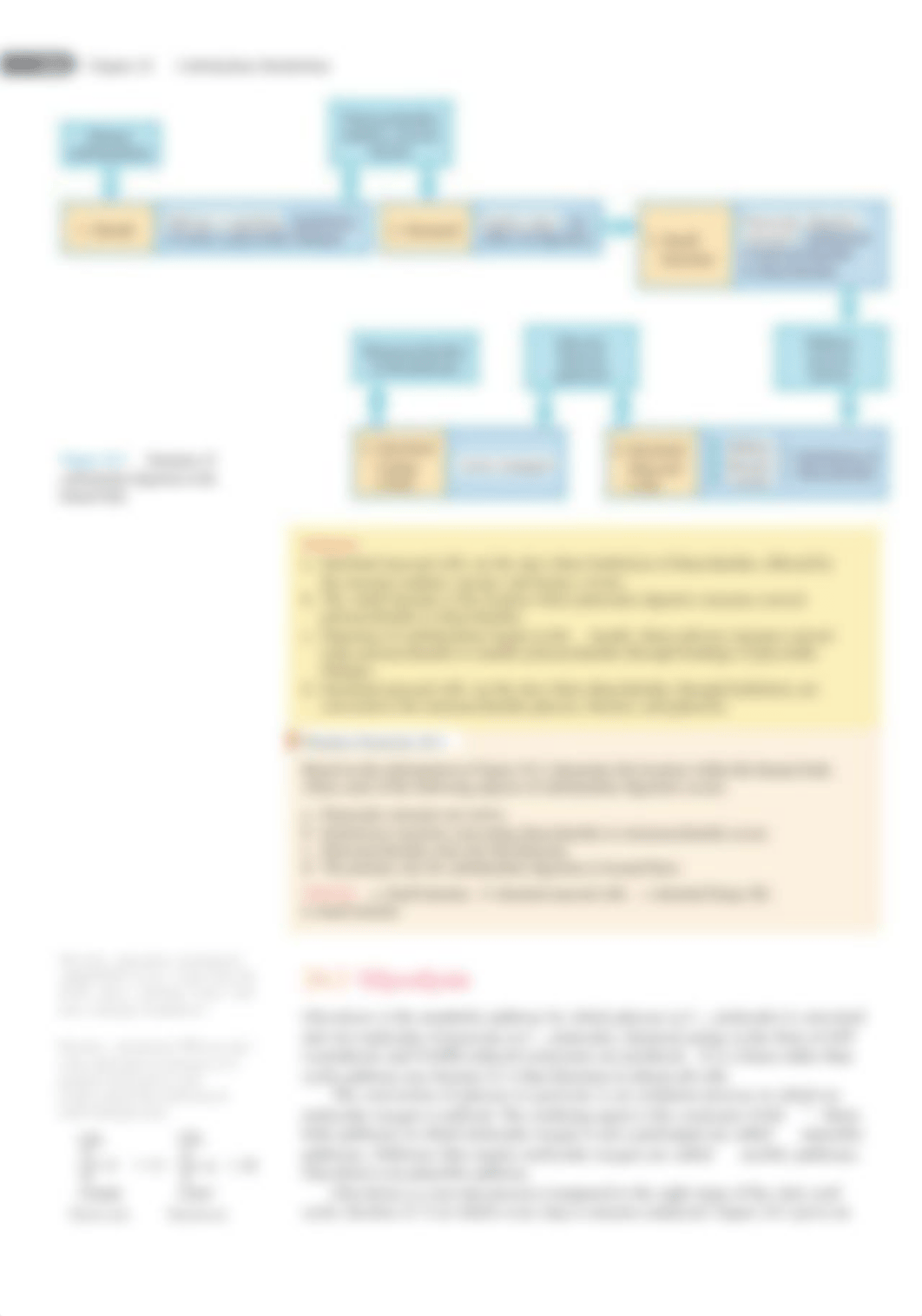 Carbohydrate Metabolism.pdf_d4tc7c49lwr_page3