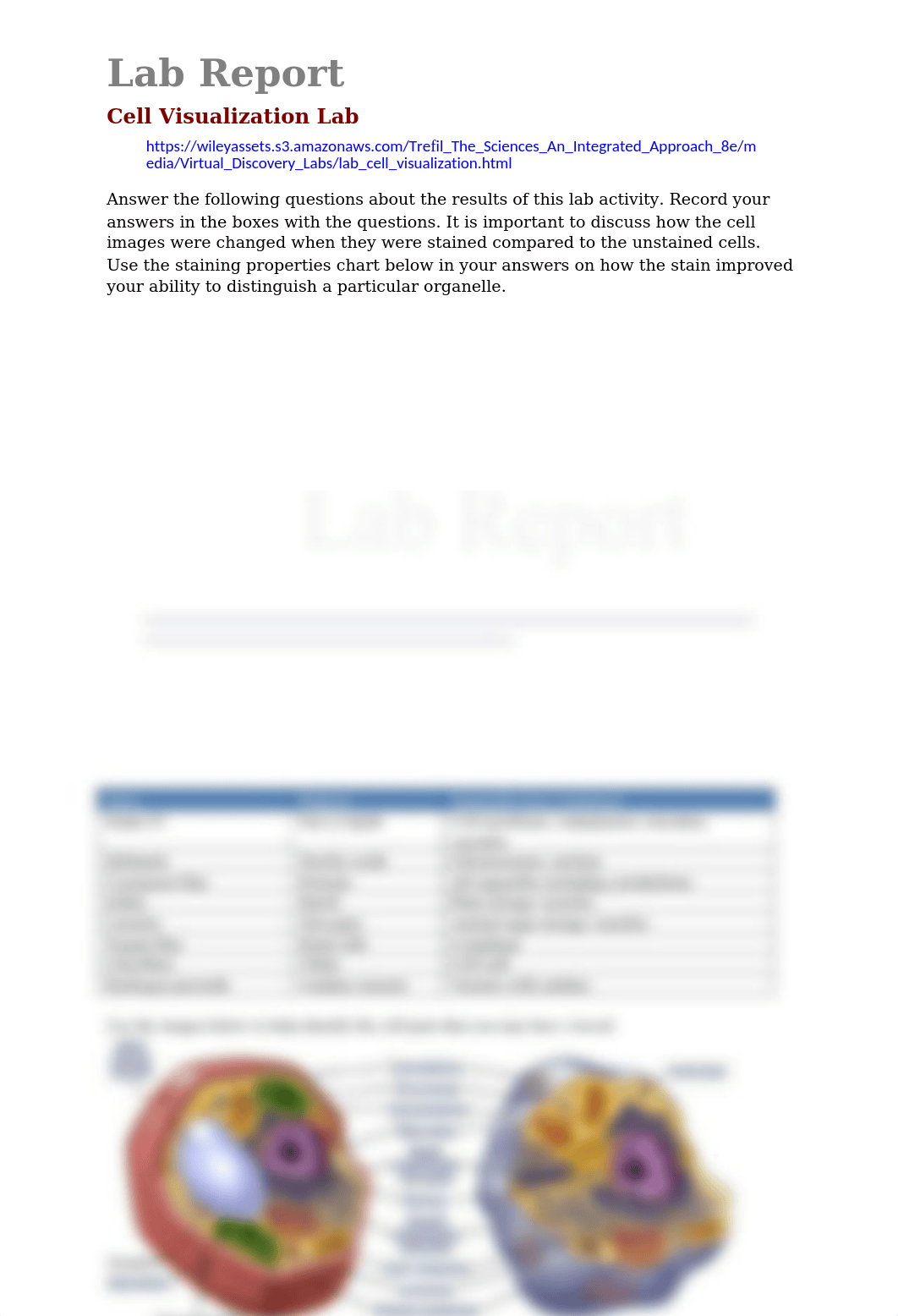 lab_report_cell_visualization[96].doc_d4tkv8r9w4x_page1