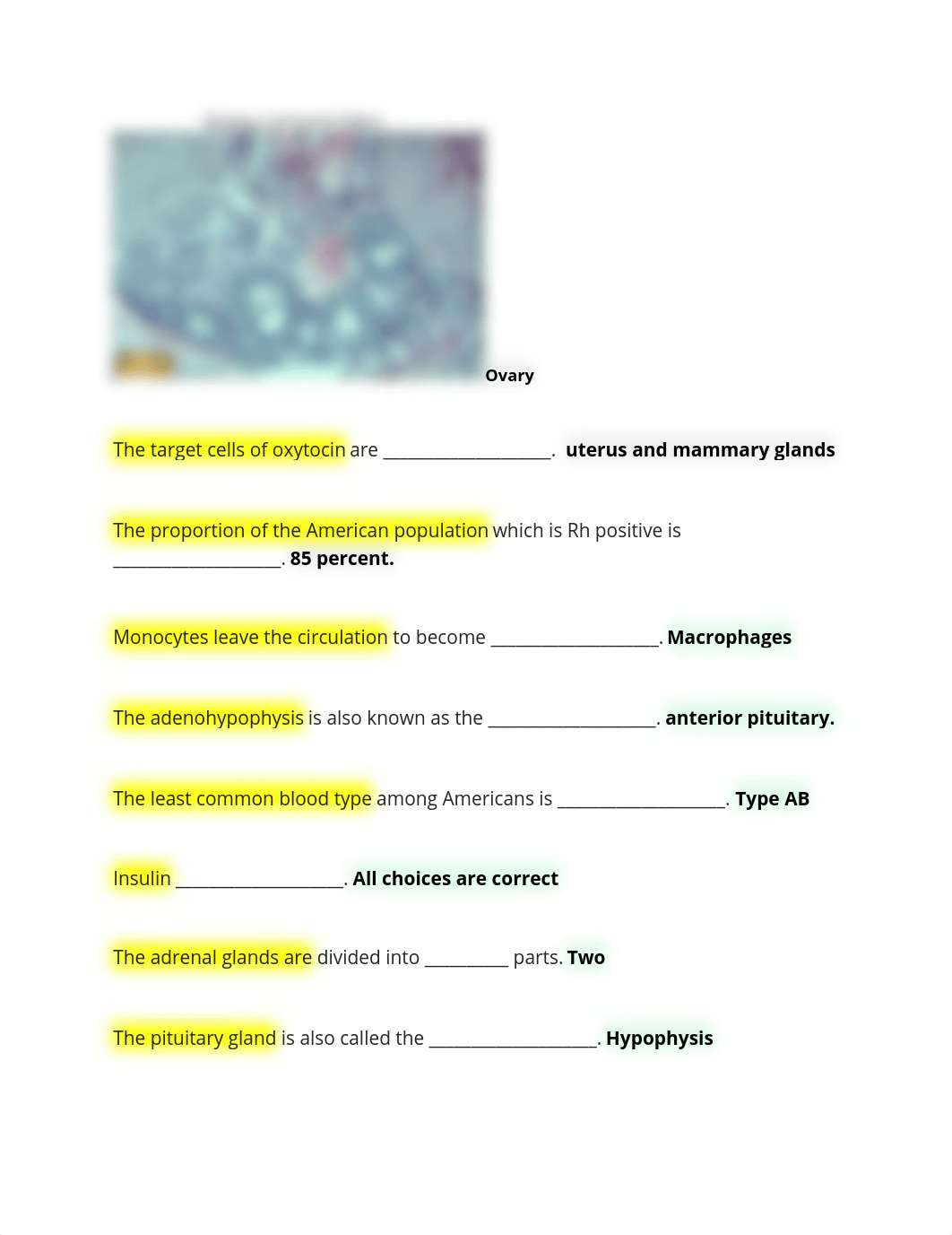 final exam sheet.docx_d4tlu552d77_page3