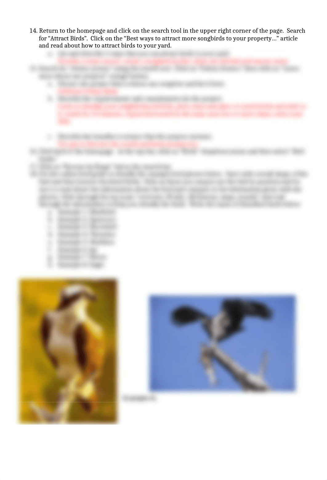 Ornithology Virtual Lab.docx_d4tmbcfjpgb_page2