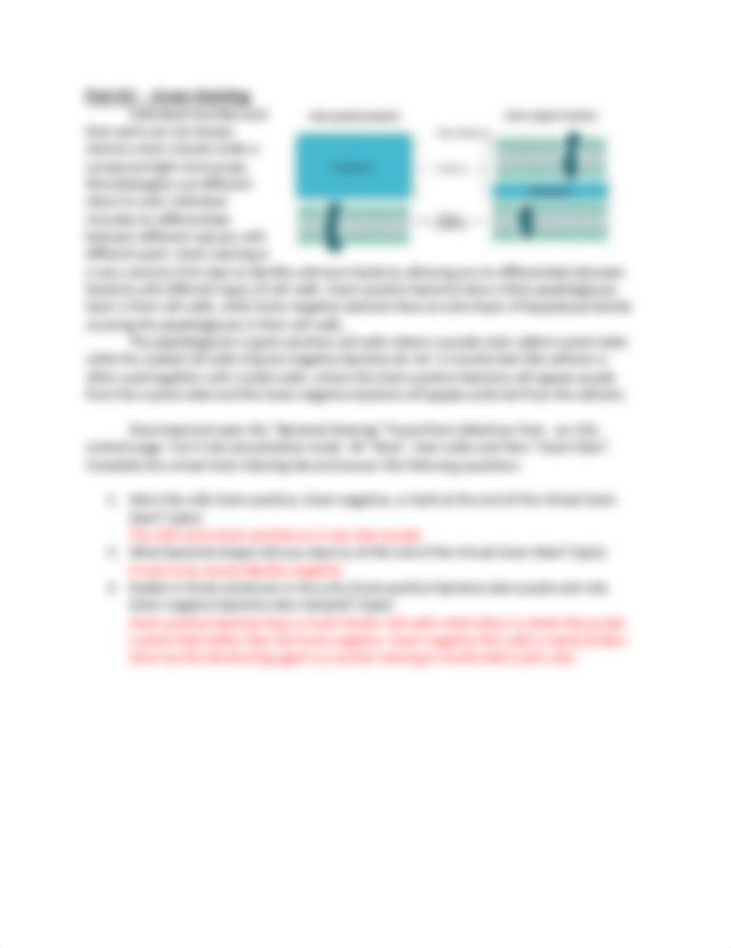 Lab Activity - Gram Staining and Streak Plates (1).pdf_d4tqvyxm3bf_page3