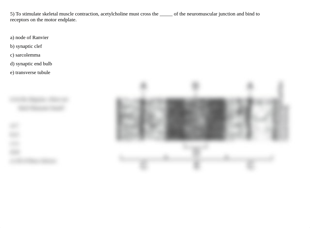 Sample exam #3 multiple-choice questions PP.pptx_d4tzonx89t8_page5