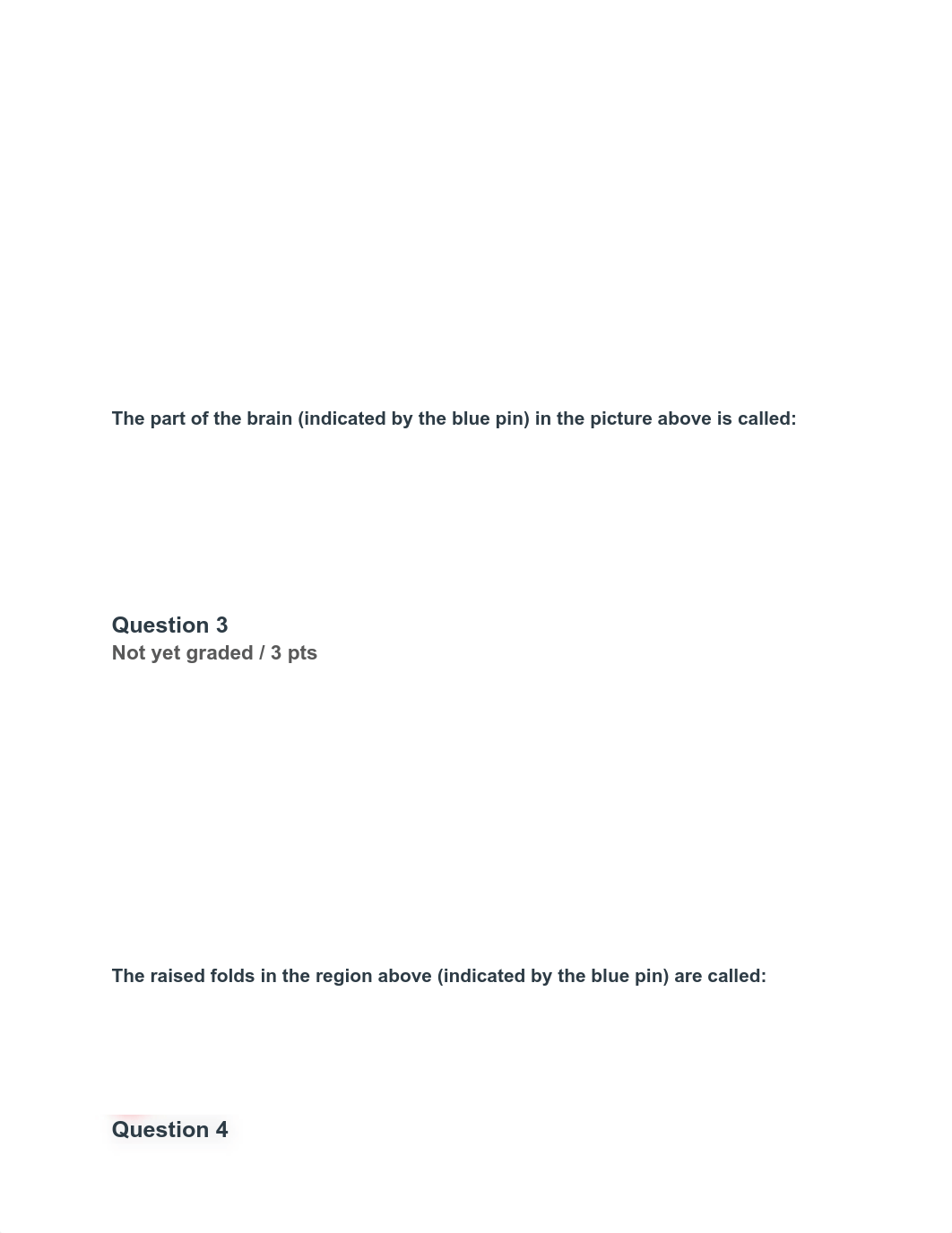 lab exam 1.pdf_d4tzrck0rs3_page2