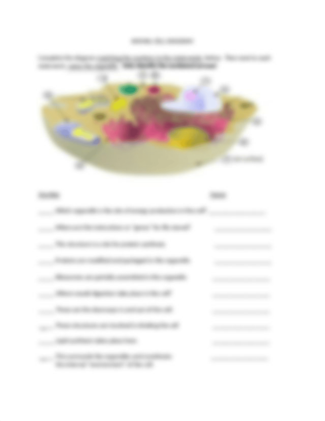 Animal Cell diagram_d4u0lrbs4jw_page1