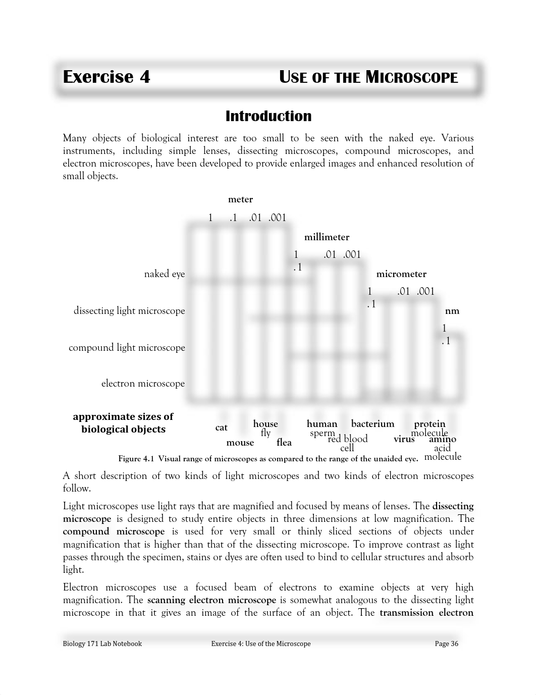 Lab Exercise 4.pdf_d4ueyy5ewel_page1