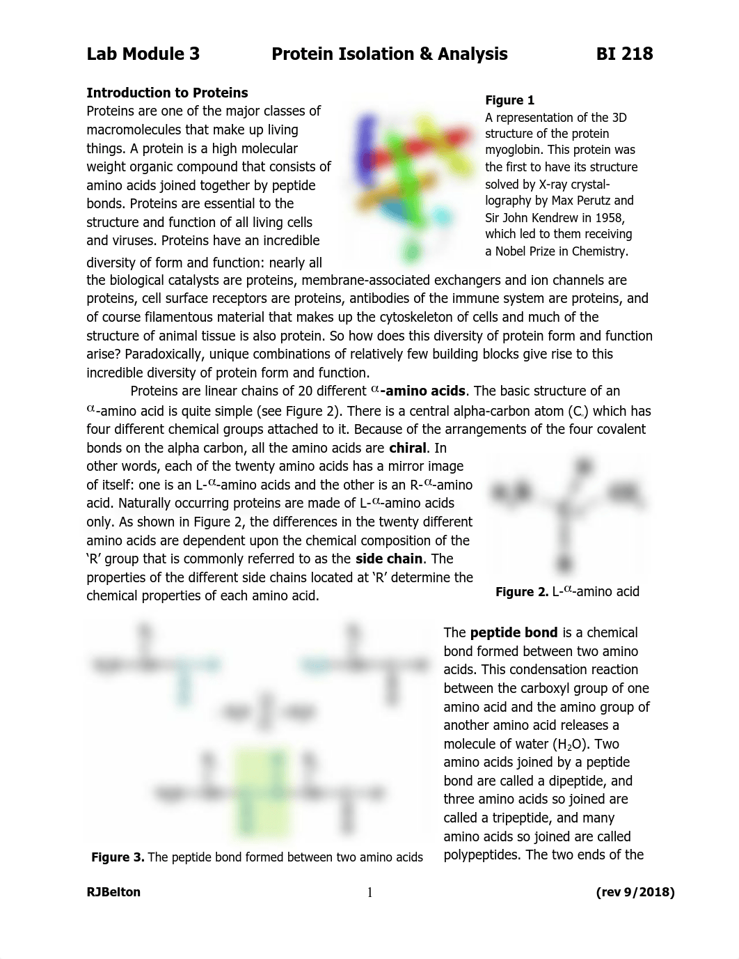 BI 218 Module 3_Protein Isolation and Analysis_Fall18.pdf_d4uksawmx90_page1