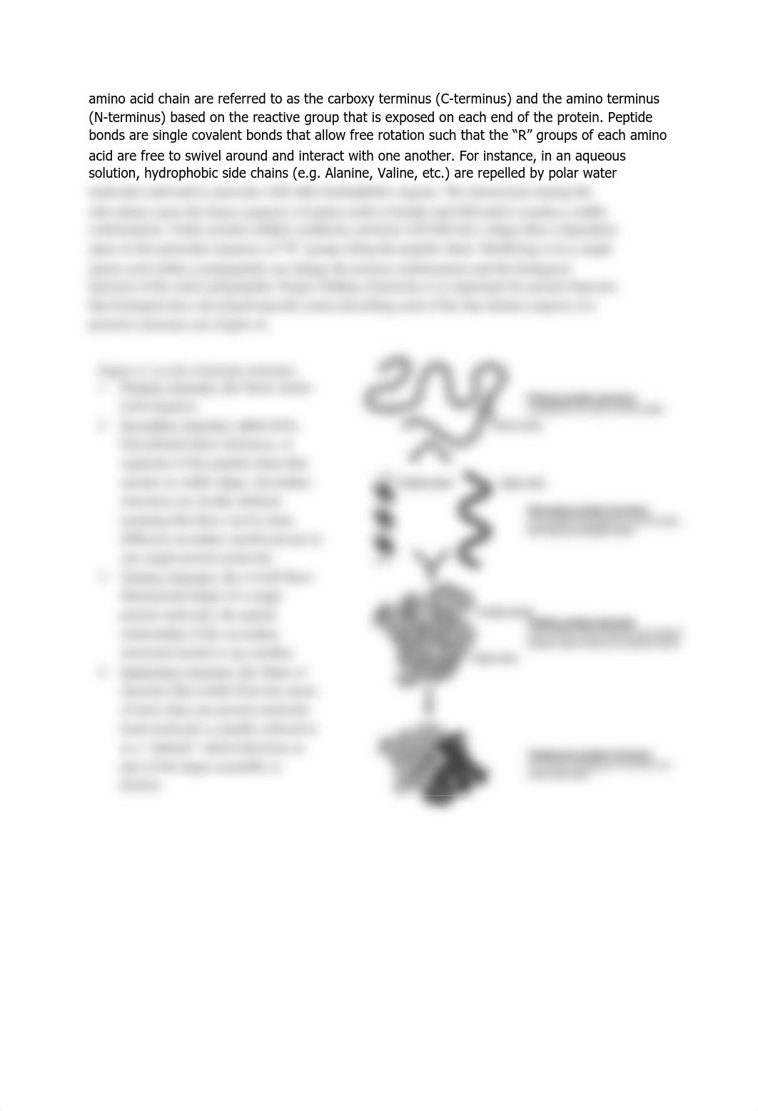 BI 218 Module 3_Protein Isolation and Analysis_Fall18.pdf_d4uksawmx90_page2