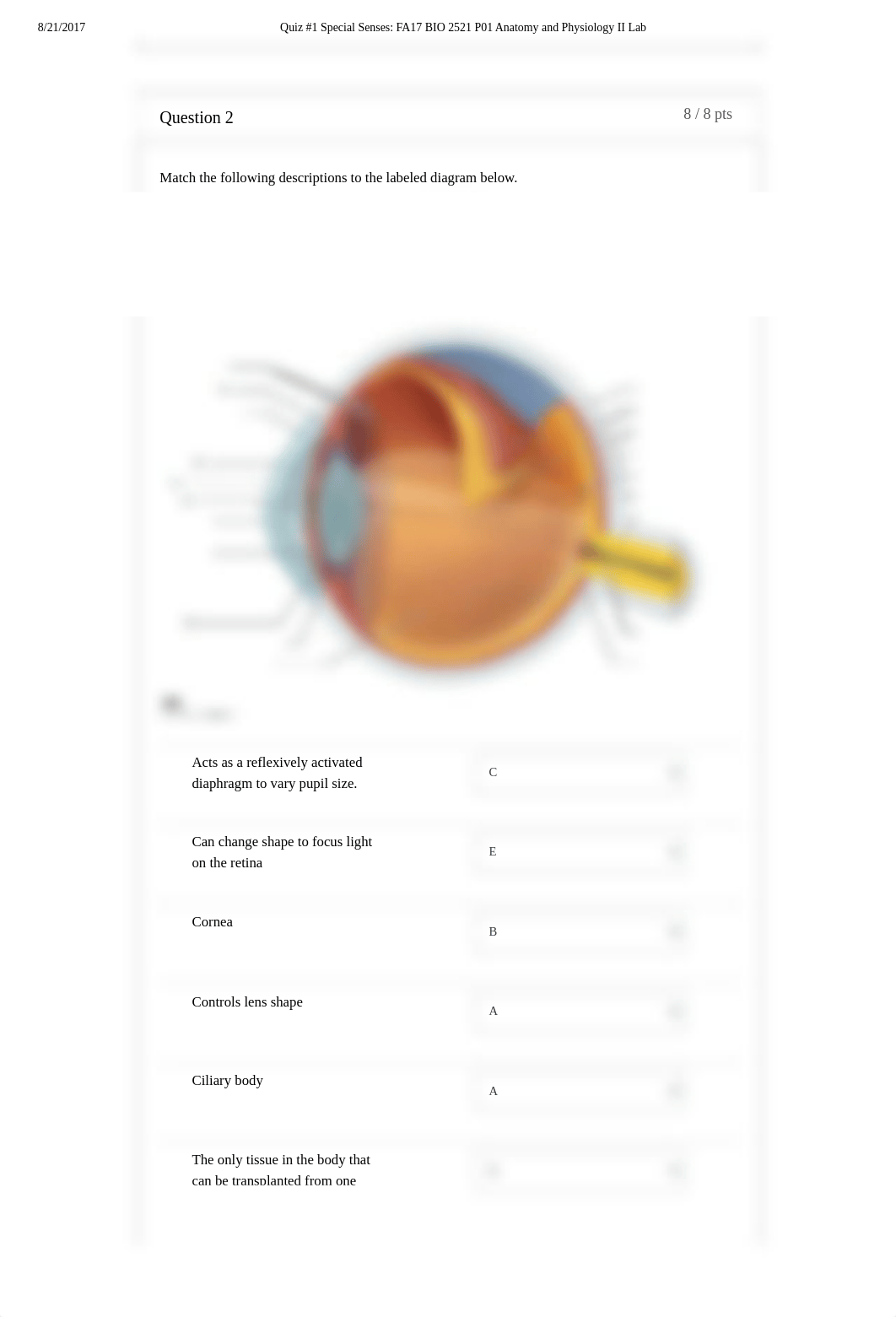 Quiz #1 Special Senses A&P2.pdf_d4uqlyep64b_page3