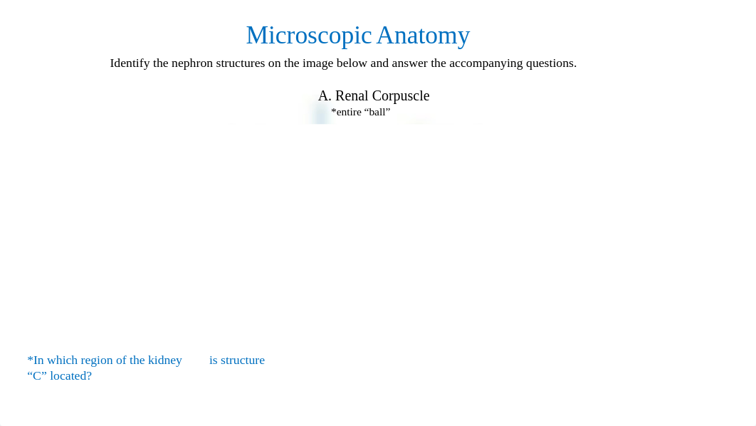 Urinary System & Urinalysis Assignment_rosecharles.pptx_d4uw6a4lw9v_page5