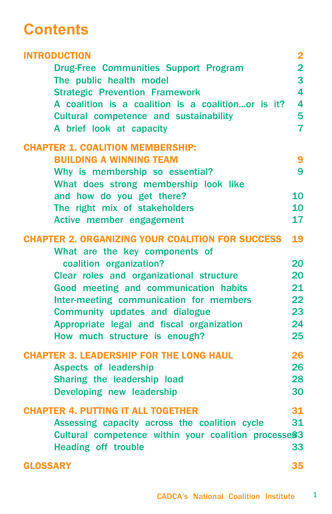 3capacityprimerPrimer.pdf_d4v3wganilq_page3