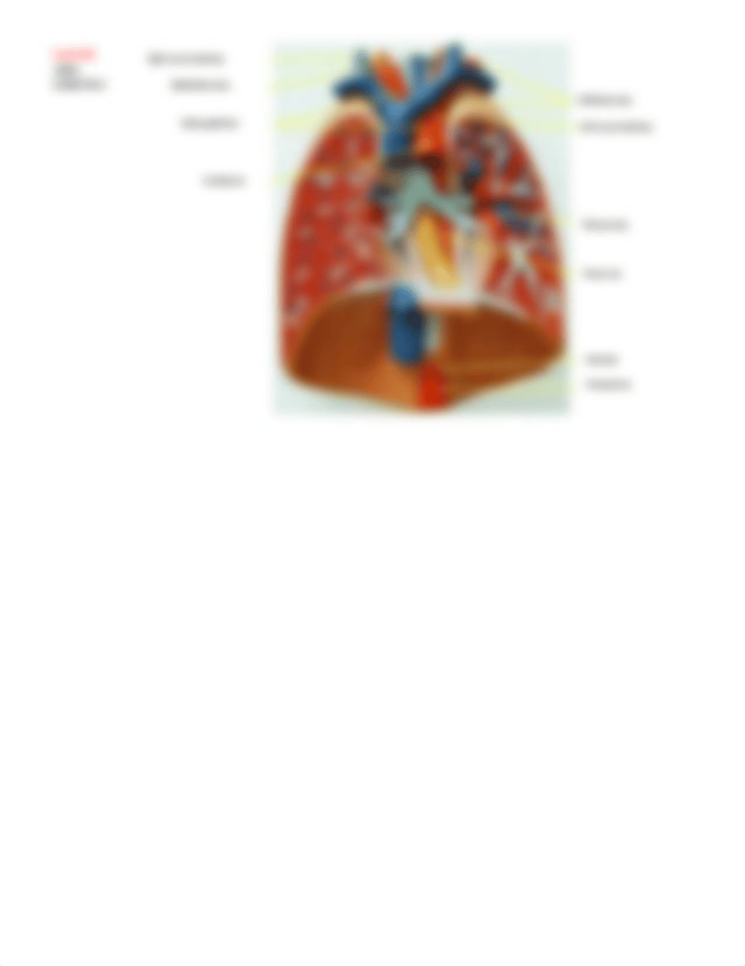 BIO 171L - Exam 1 Part 3.docx_d4v3xlfoq60_page3