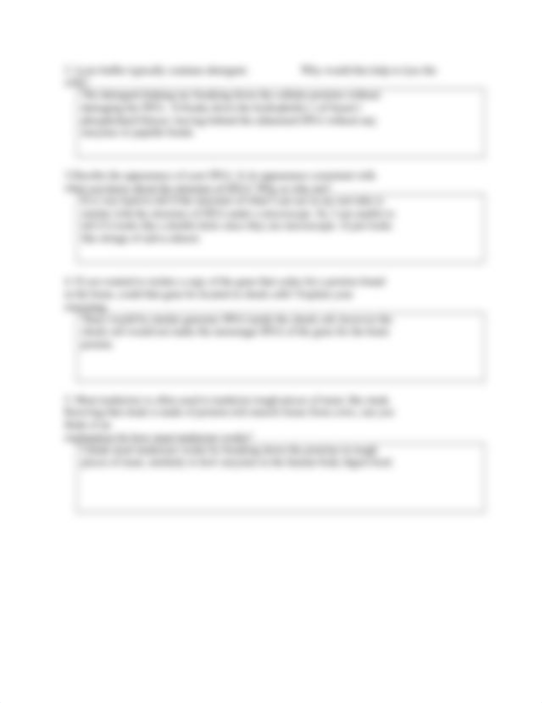 CHEEK CELL LAB GALLEGOS.doc_d4v6gbj18so_page2