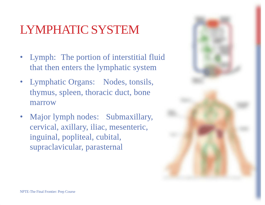 07. Lymphatic System NPTE Final Frontier July 2022.pdf_d4vagto781m_page4