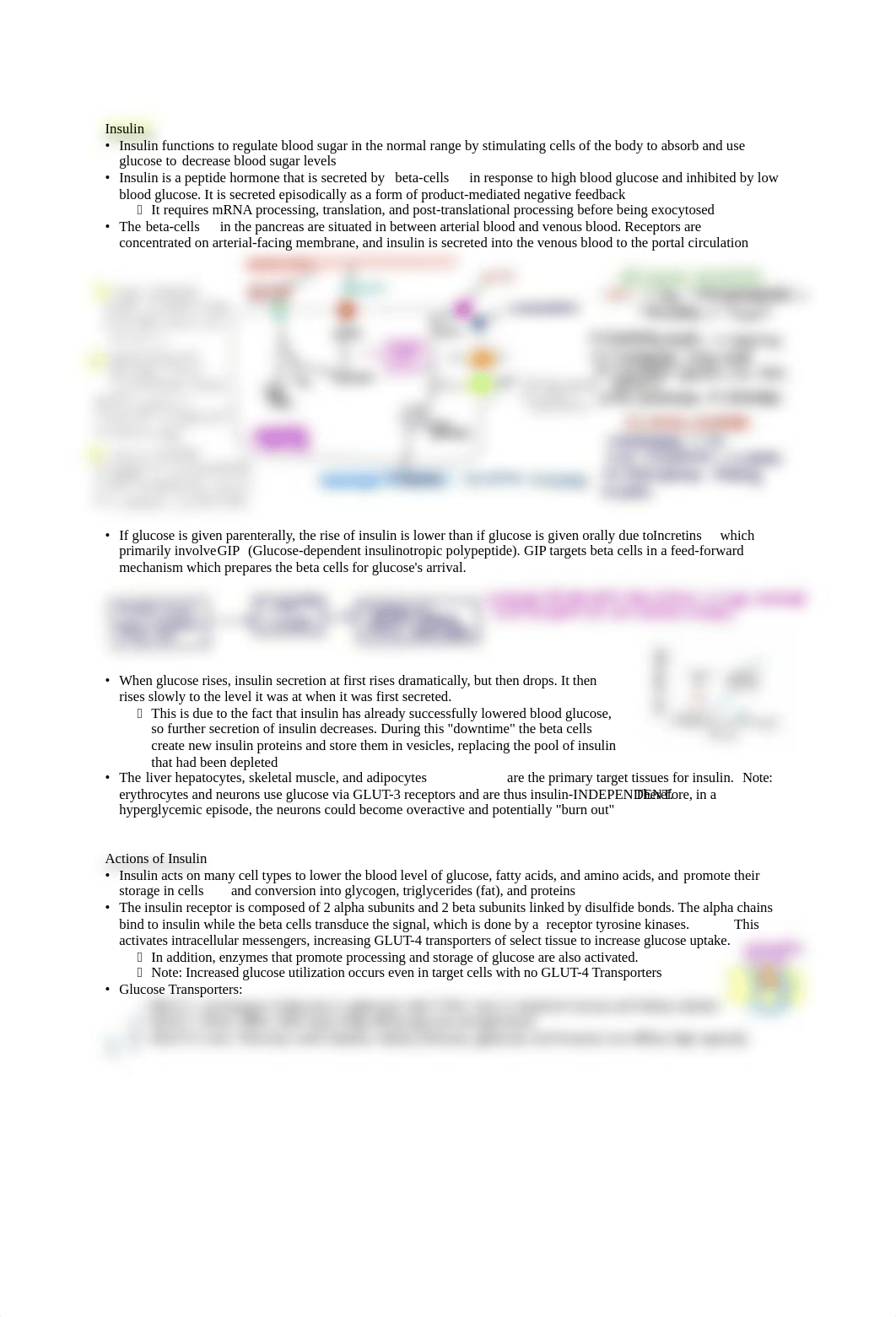 Endocrine Pancreas Physiology.pdf_d4vc4u21y3u_page1