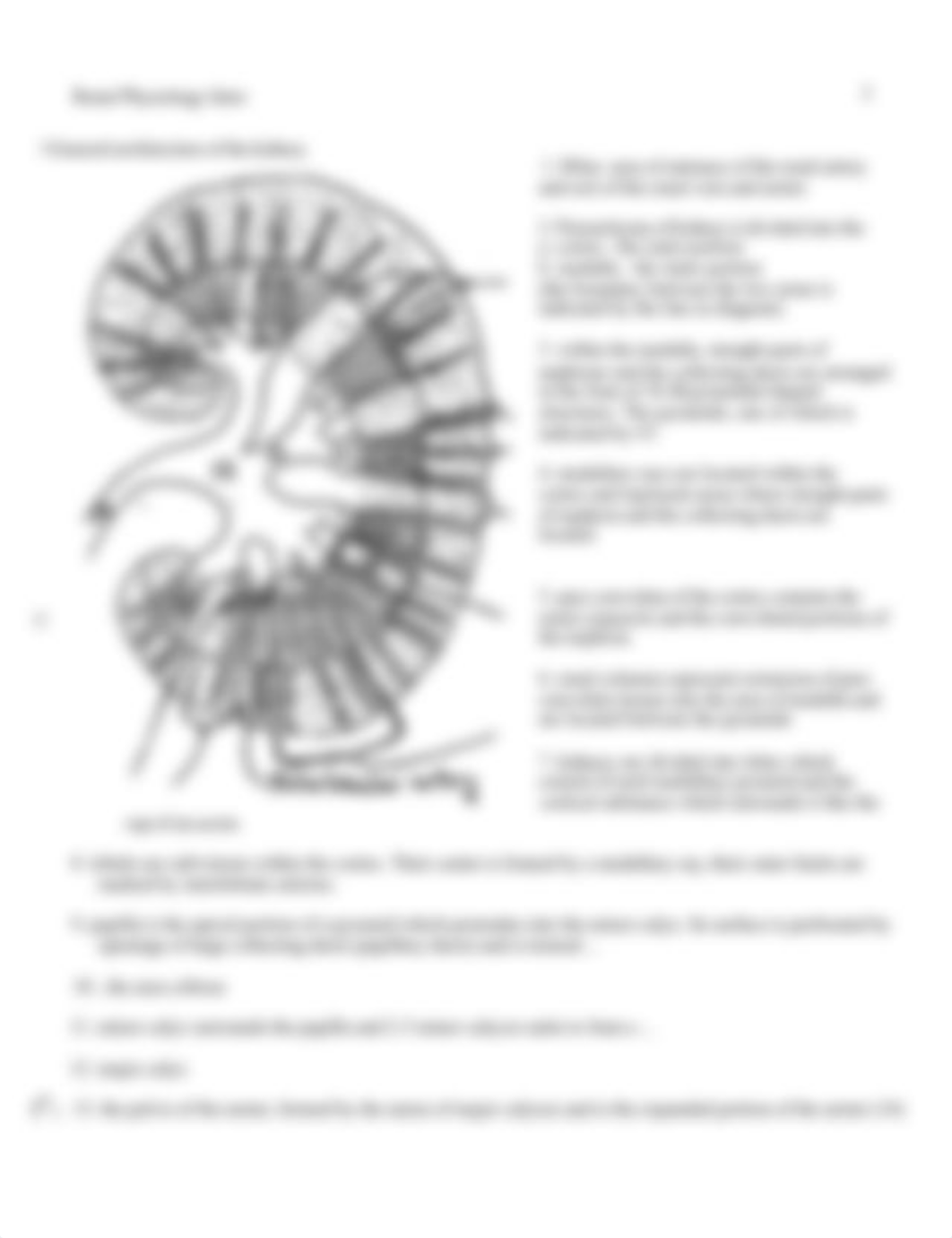 Exam 2 .pdf_d4vfrou0pil_page3