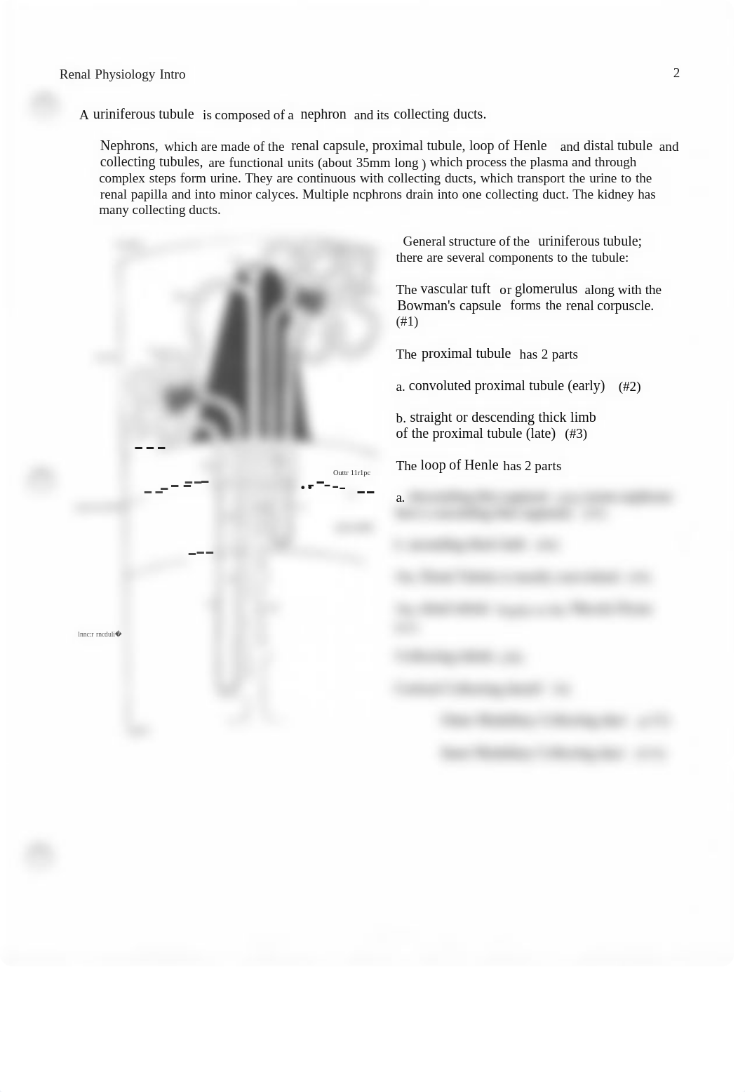 Exam 2 .pdf_d4vfrou0pil_page2