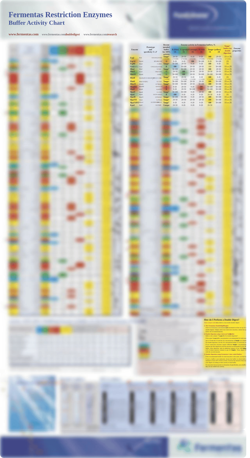 Fermentas_RE.pdf_d4vinqu5pyg_page1