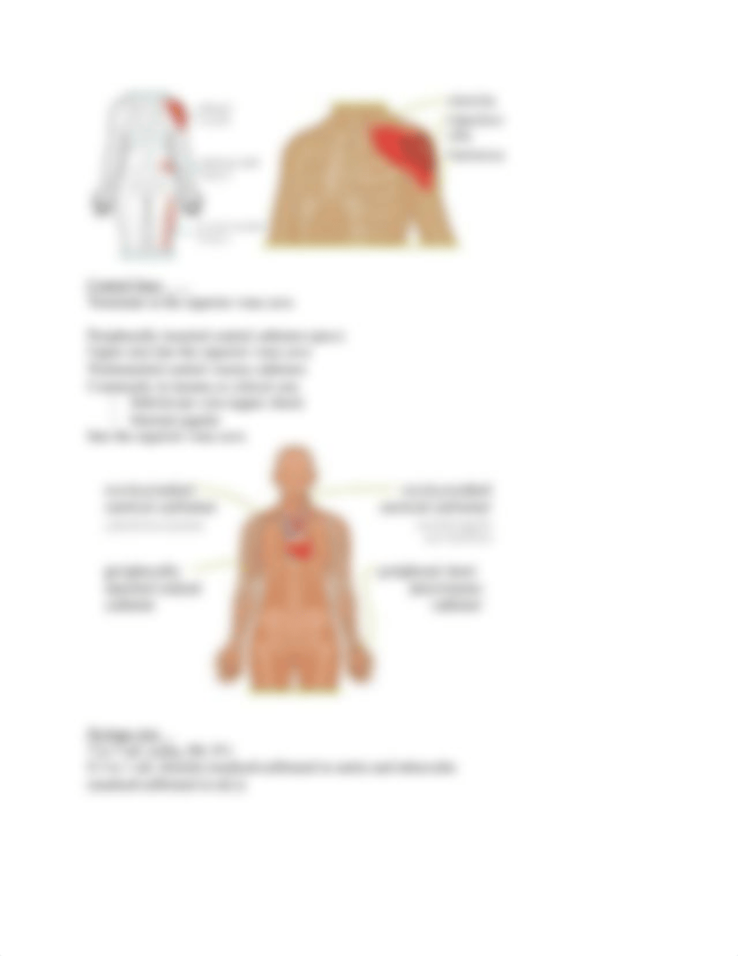 Injectable Medications ATI.docx_d4vkkw26rm9_page3