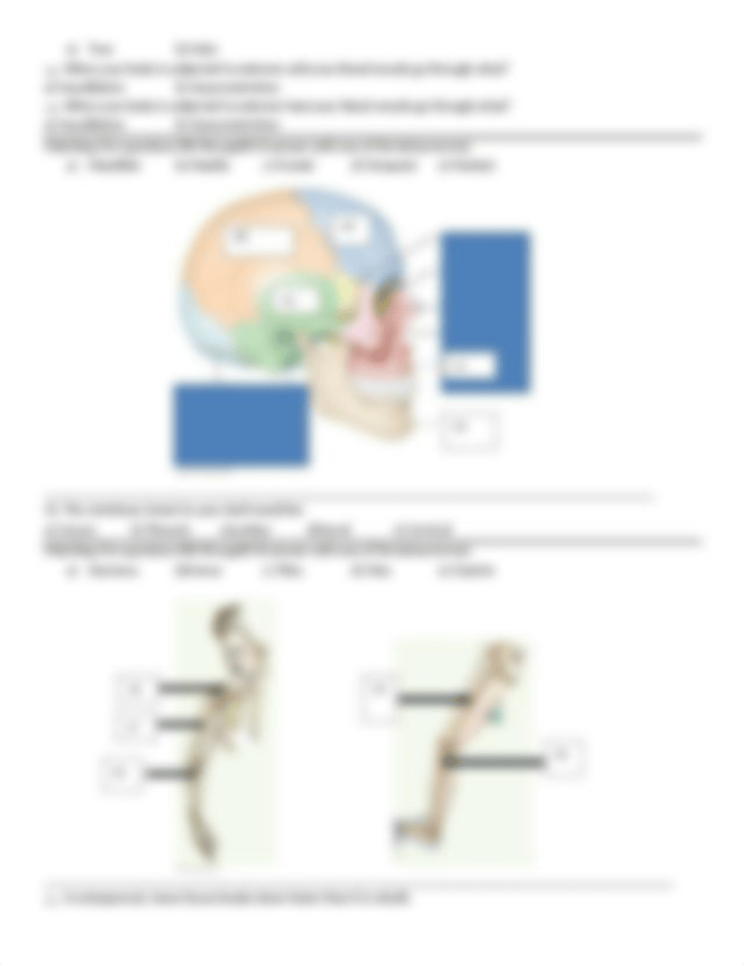 BIO 140 EXAM I   Spring 2017_d4vqgpmga06_page2