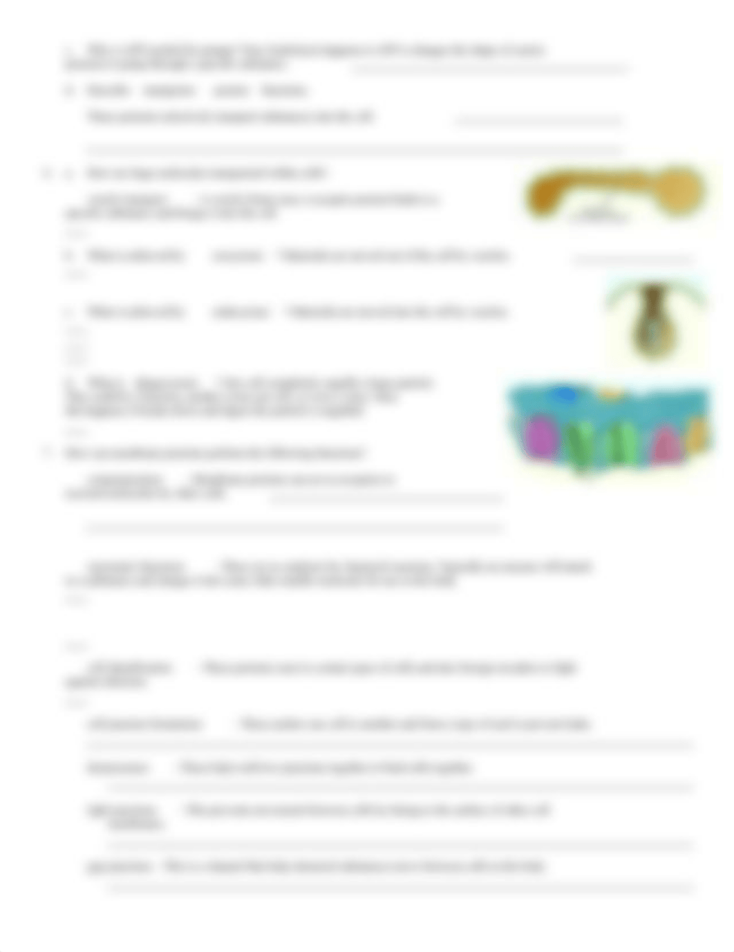 Ch. 3 Membrane Functions_d4vt376bn2d_page2