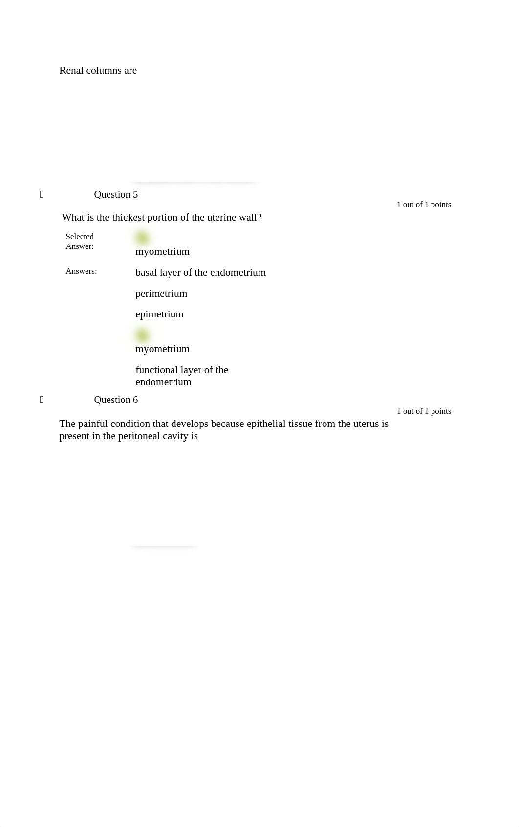 AP II OE quiz 4.docx_d4vt7nf4l97_page2