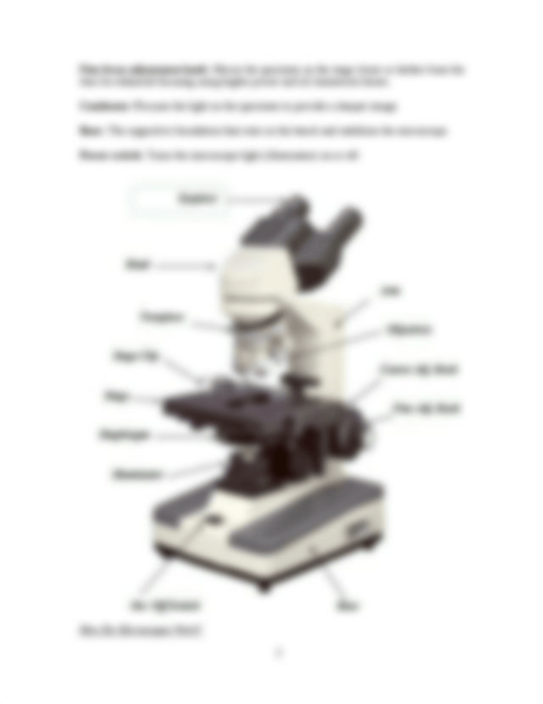 PRE LAB ASSIGNMENT 2 - Microscopy.docx_d4w41ysntm0_page2