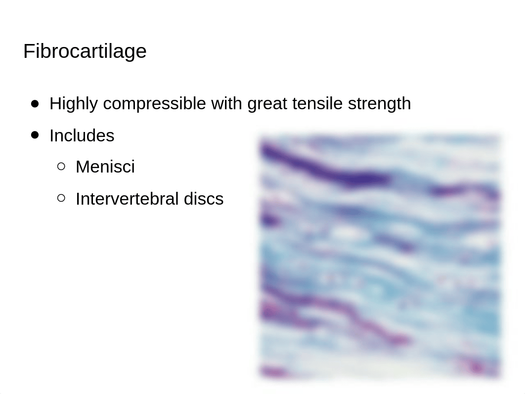 Chapter 6 Bones and Skeletal Tissue.pptx_d4w6khqo3su_page5