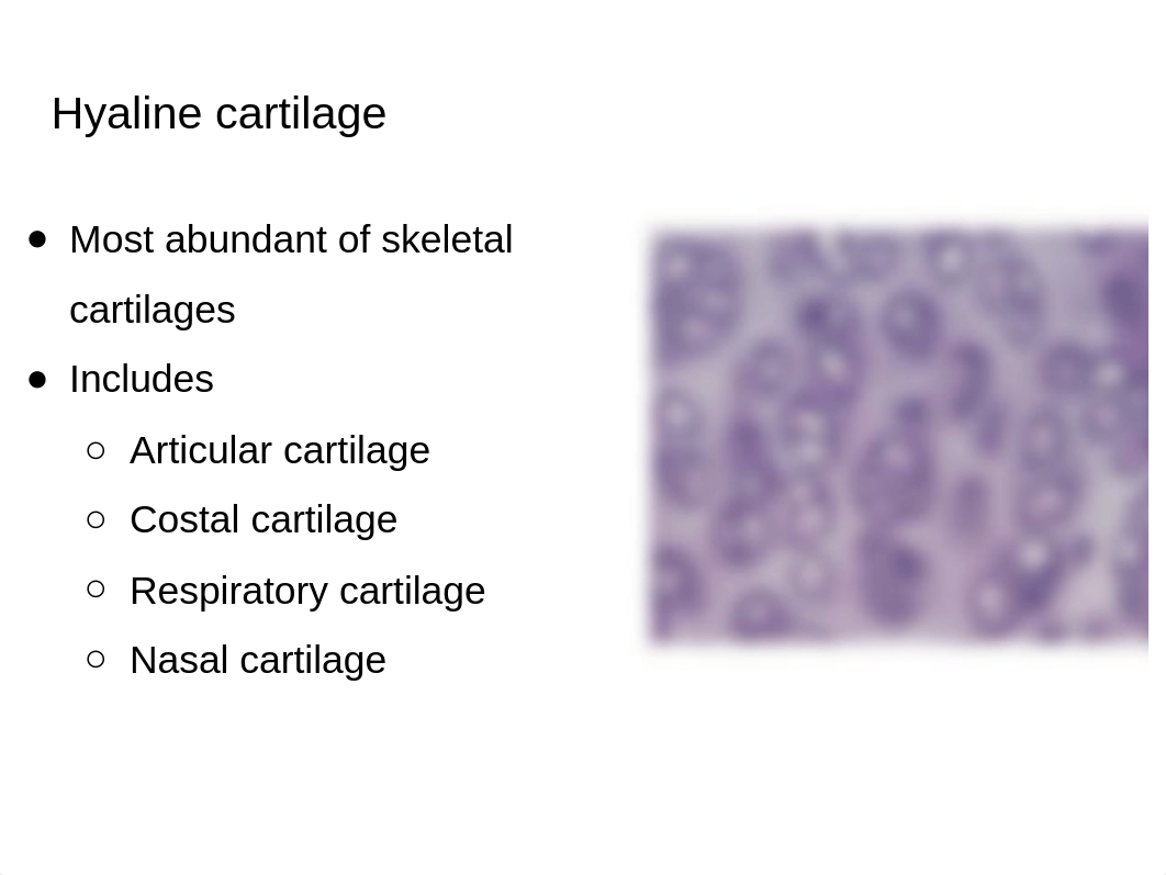 Chapter 6 Bones and Skeletal Tissue.pptx_d4w6khqo3su_page3