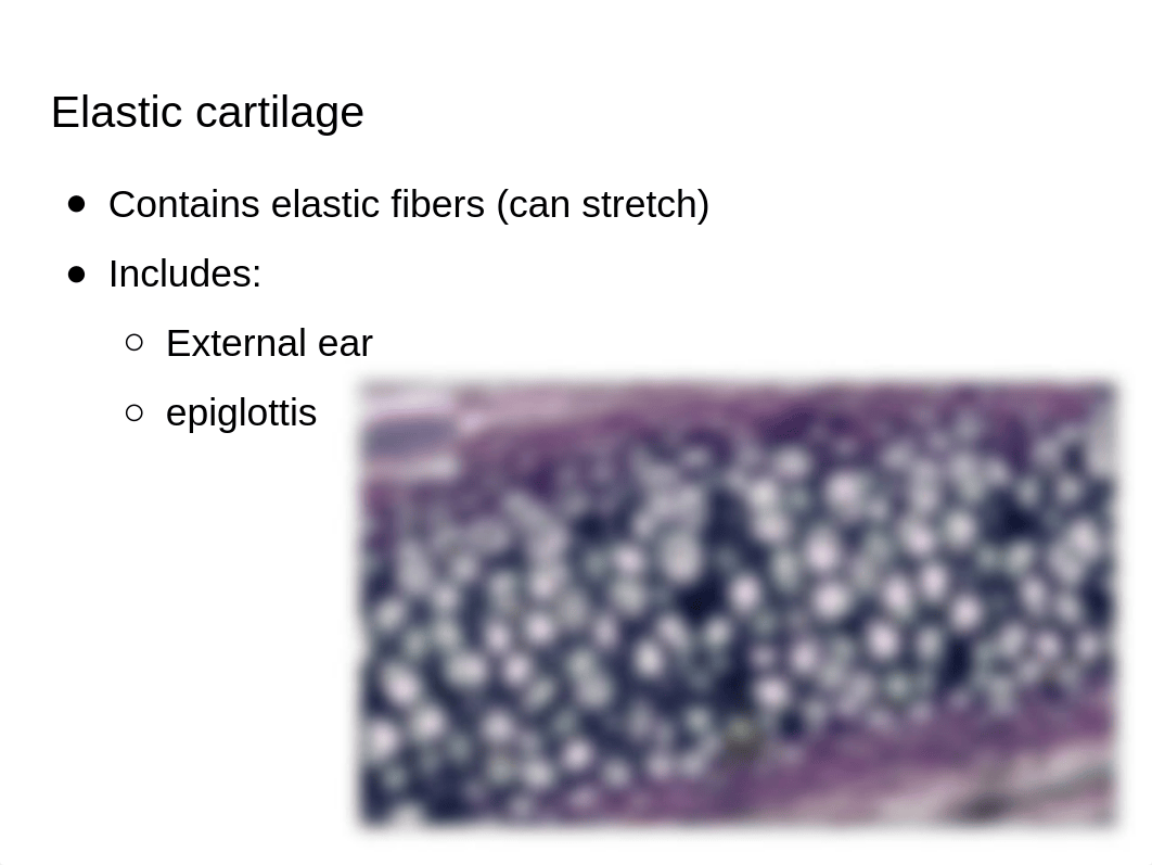 Chapter 6 Bones and Skeletal Tissue.pptx_d4w6khqo3su_page4