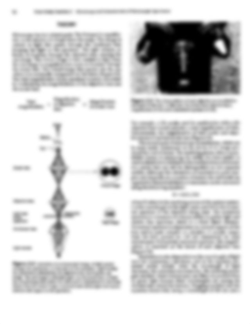 Lab#3Microscope.pdf_d4wau8bm6pu_page4