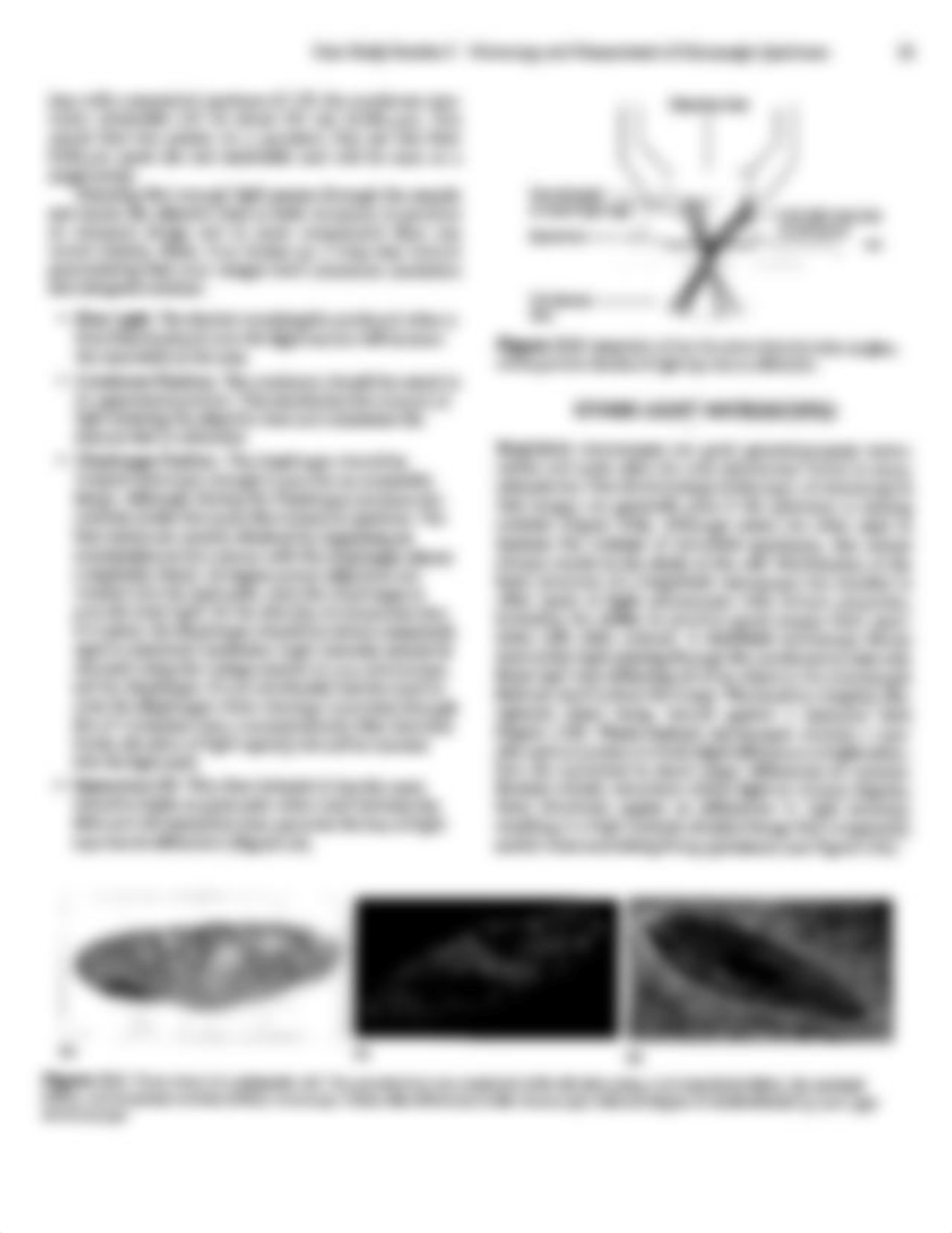 Lab#3Microscope.pdf_d4wau8bm6pu_page5