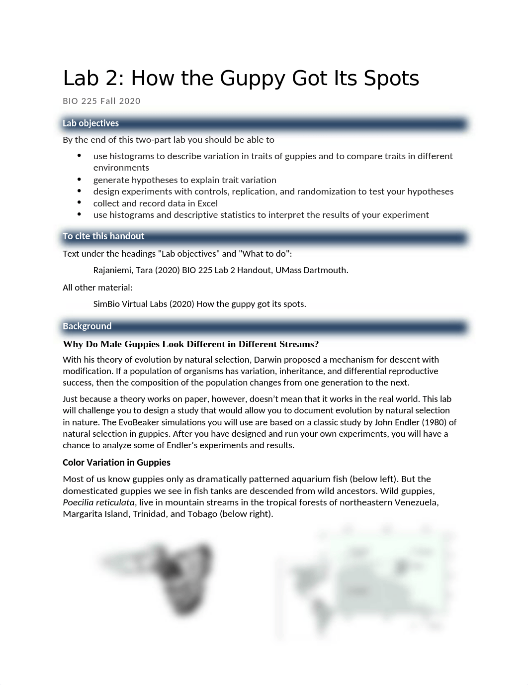 Guppy lab 2 handout.docx_d4waz20yyqu_page1