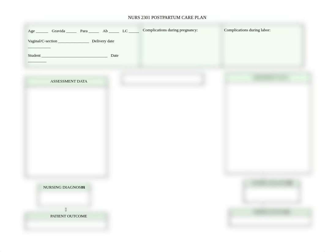Post partum careplan NURS 2301_d4wi6koncid_page1